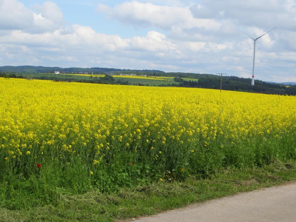 Haus Simon Lägenhet Blankenrath Exteriör bild