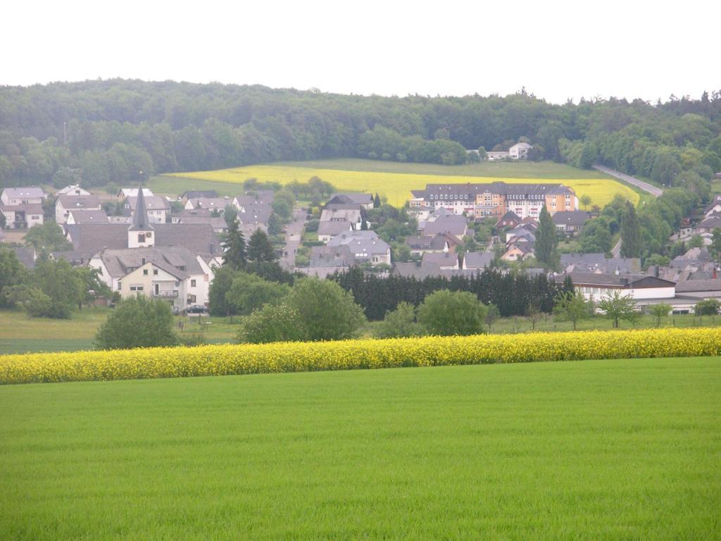 Haus Simon Lägenhet Blankenrath Exteriör bild
